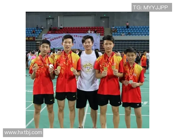 杭州羽毛球队战术解析与对比深度剖析助力球队提升竞技水平